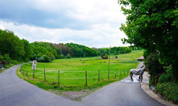Pferdekoppeln